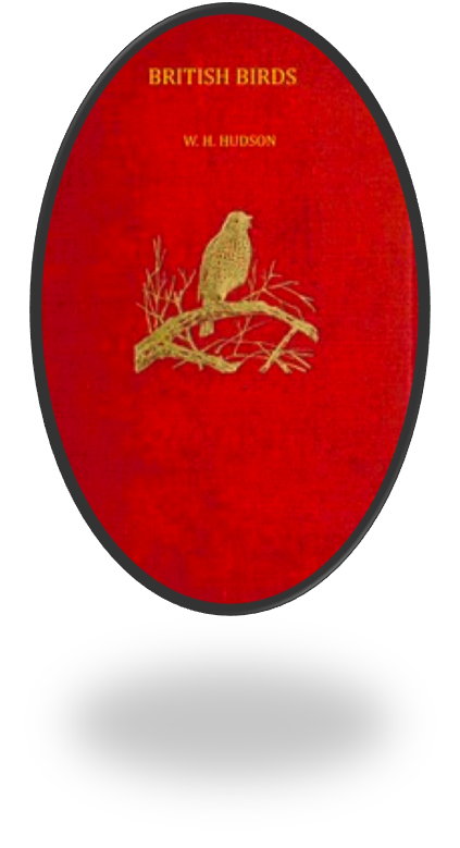 cover British Birds